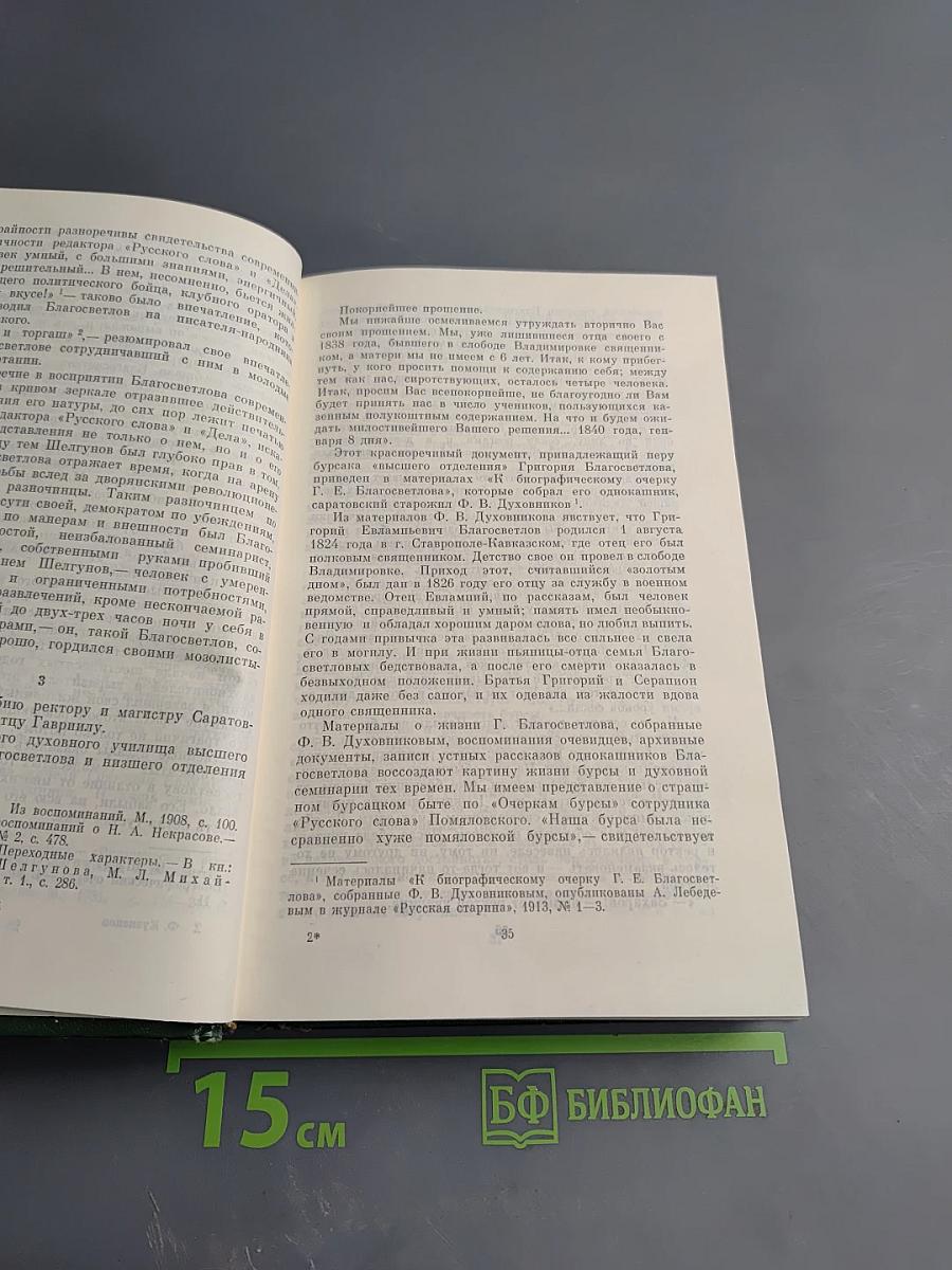 Нигилисты? Д. И. Писарев и журнал «Русское слово»