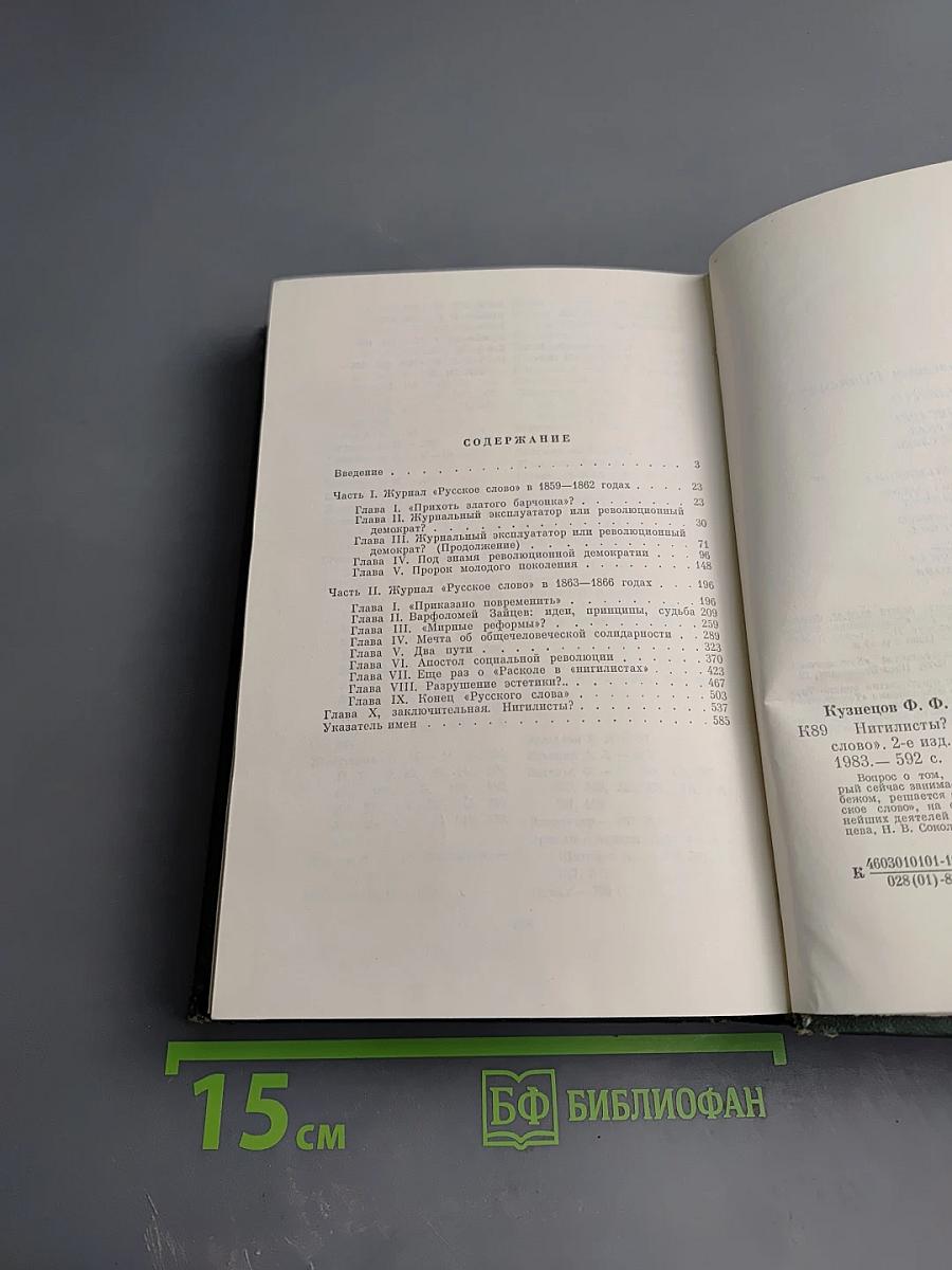 Нигилисты? Д. И. Писарев и журнал «Русское слово»