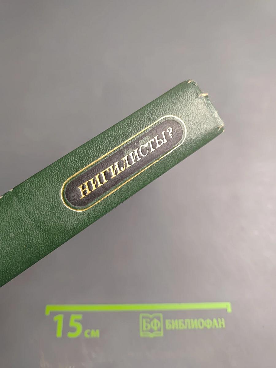 Нигилисты? Д. И. Писарев и журнал «Русское слово»