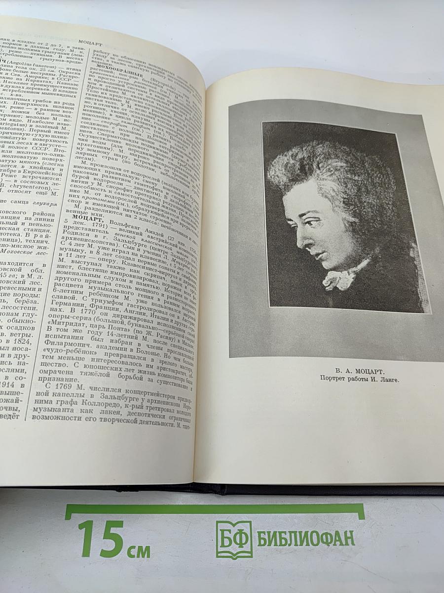 Большая Советская Энциклопедия. Том 28