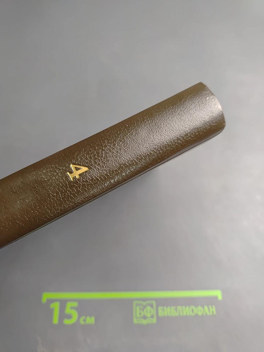 Вигьяна Бхайрава Тантра. Книга Тайн. Том 4