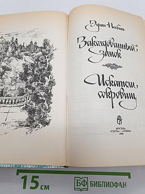 Заколдованный Замок. Искатели сокровищ