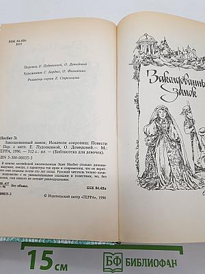 Заколдованный Замок. Искатели сокровищ