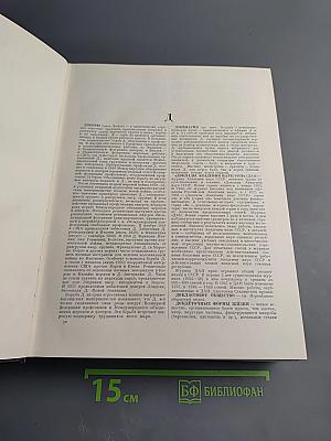 Большая Советская Энциклопедия. Том 15. Докеры - Железняков