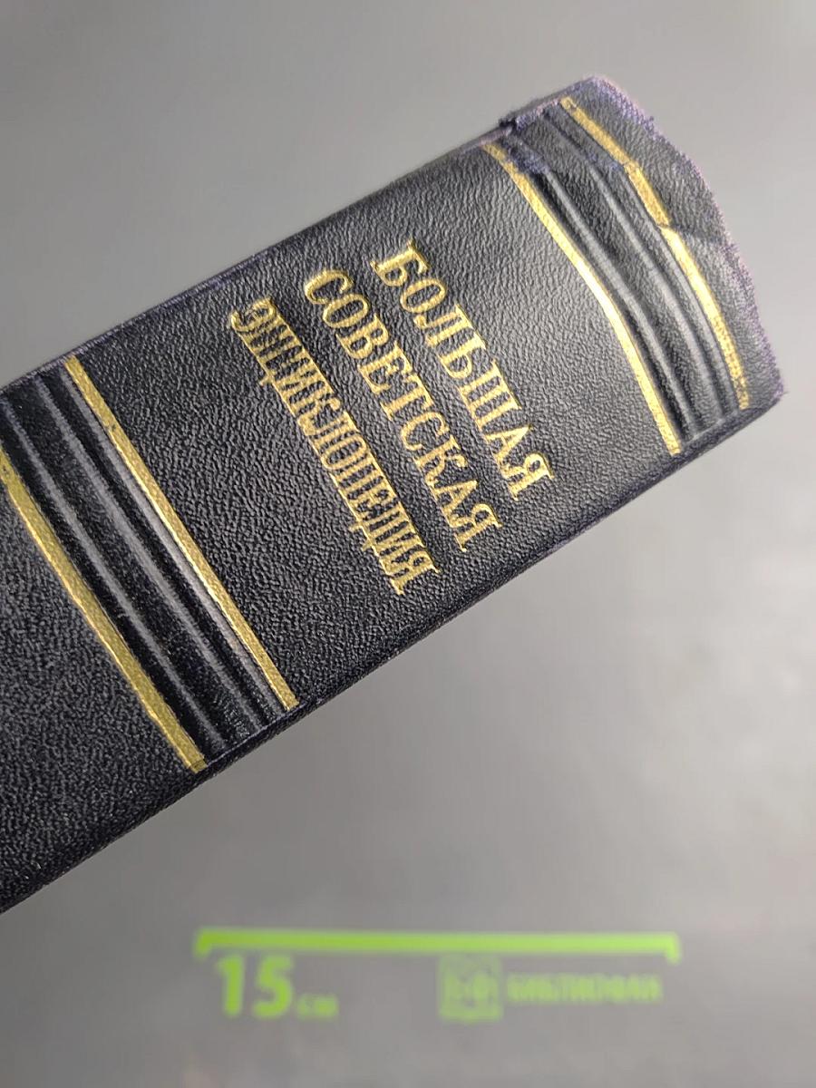 Большая Советская Энциклопедия. Том 15: Докеры - Железников