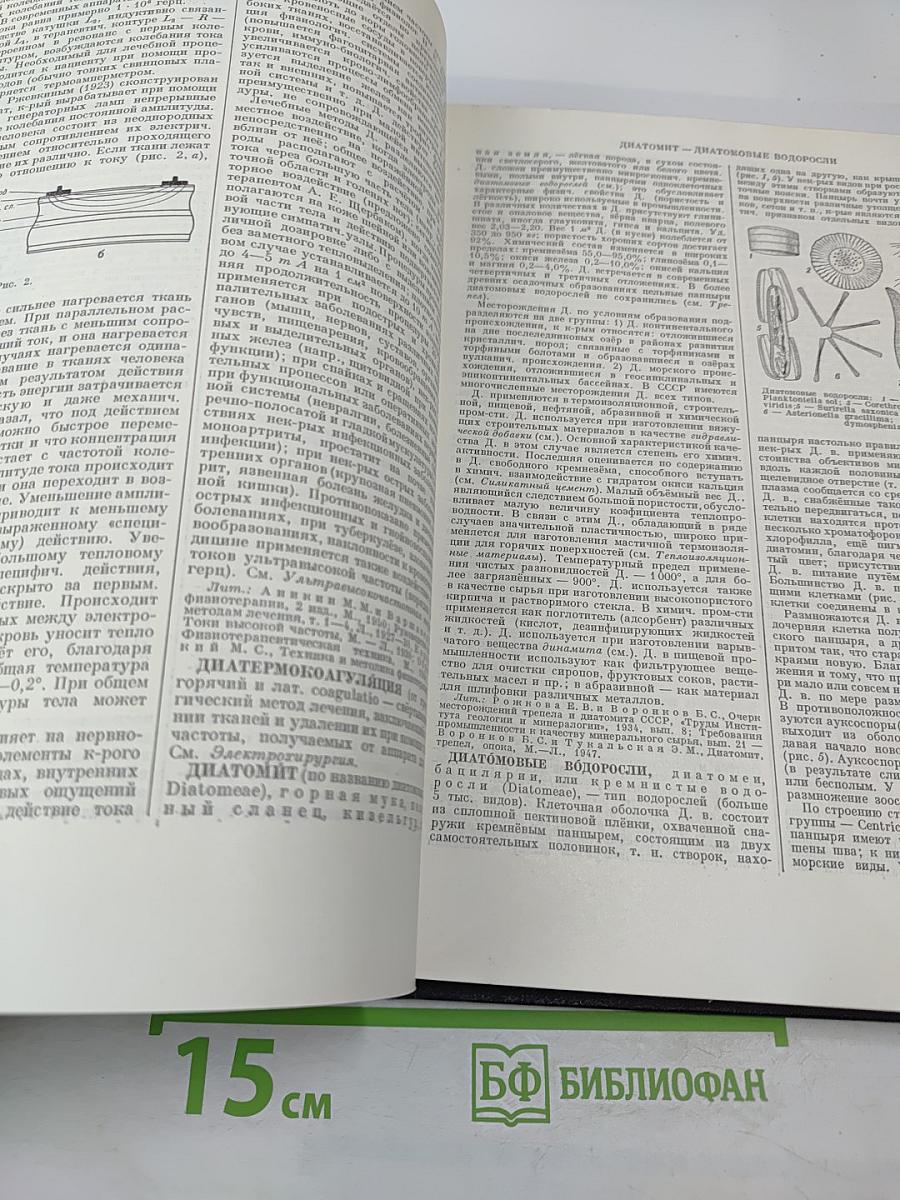 Большая Советская Энциклопедия. Том 14: Демосфен – Декабрь