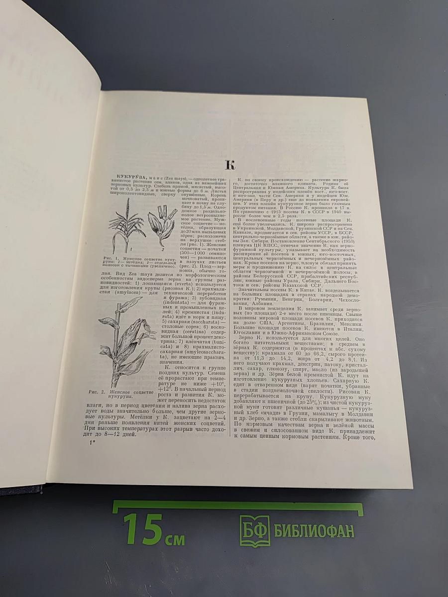 Большая Советская Энциклопедия. Том 24: Кукуруза — Лесничество. Второе издание