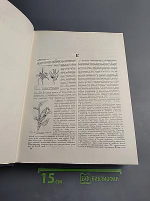 Большая Советская Энциклопедия. Том 24: Кукуруза — Лесничество. Второе издание
