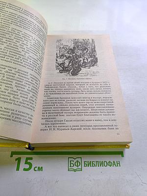 Практическое пособие по Массажу