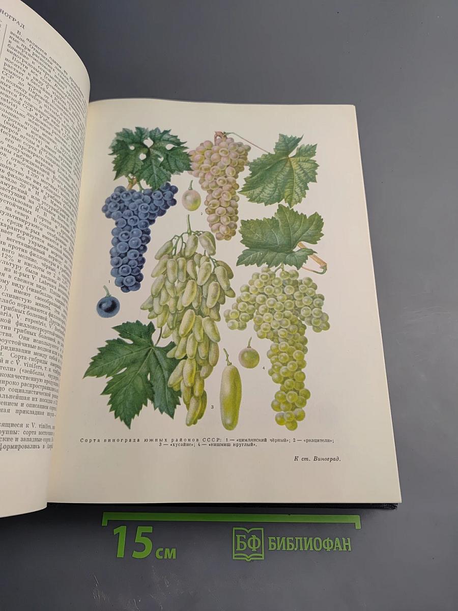 Большая Советская Энциклопедия. Том 8. Впрафон – Волово