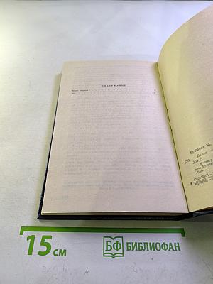 Белая гвардия. Бег