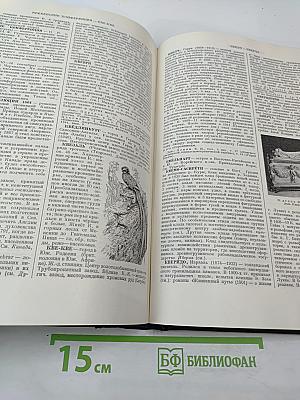 Большая Советская Энциклопедия. Том 20. Кандидат - Кинескоп