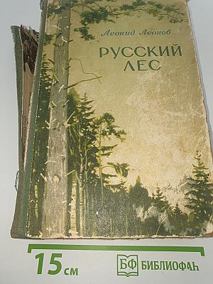 Русский лес