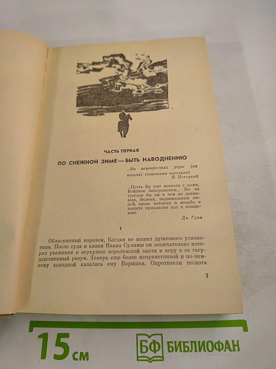 Хмельницкий. Книга третья
