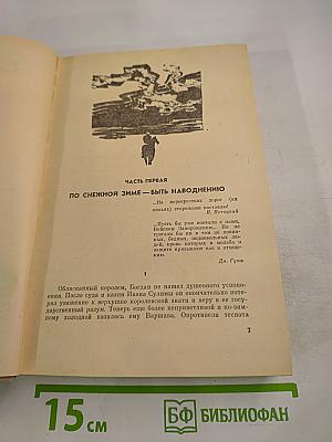 Хмельницкий. Книга третья