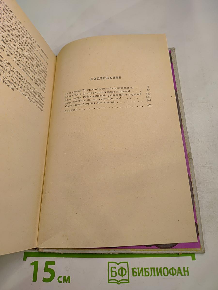 Хмельницкий. Книга третья