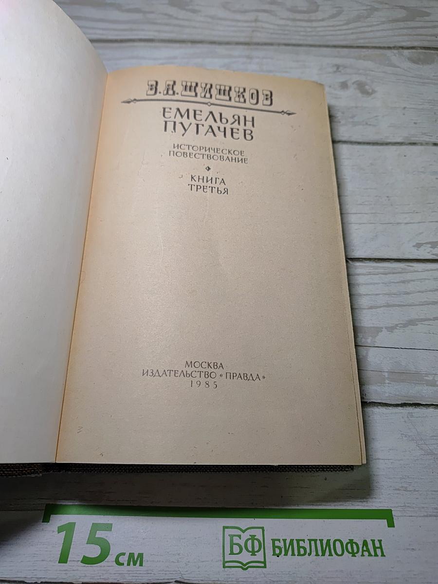 Емельян Пугачев. Историческое повествование. Книга третья