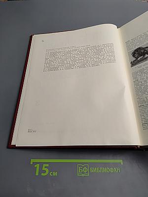 Большая Советская Энциклопедия. Том 3. Бари – Браслет