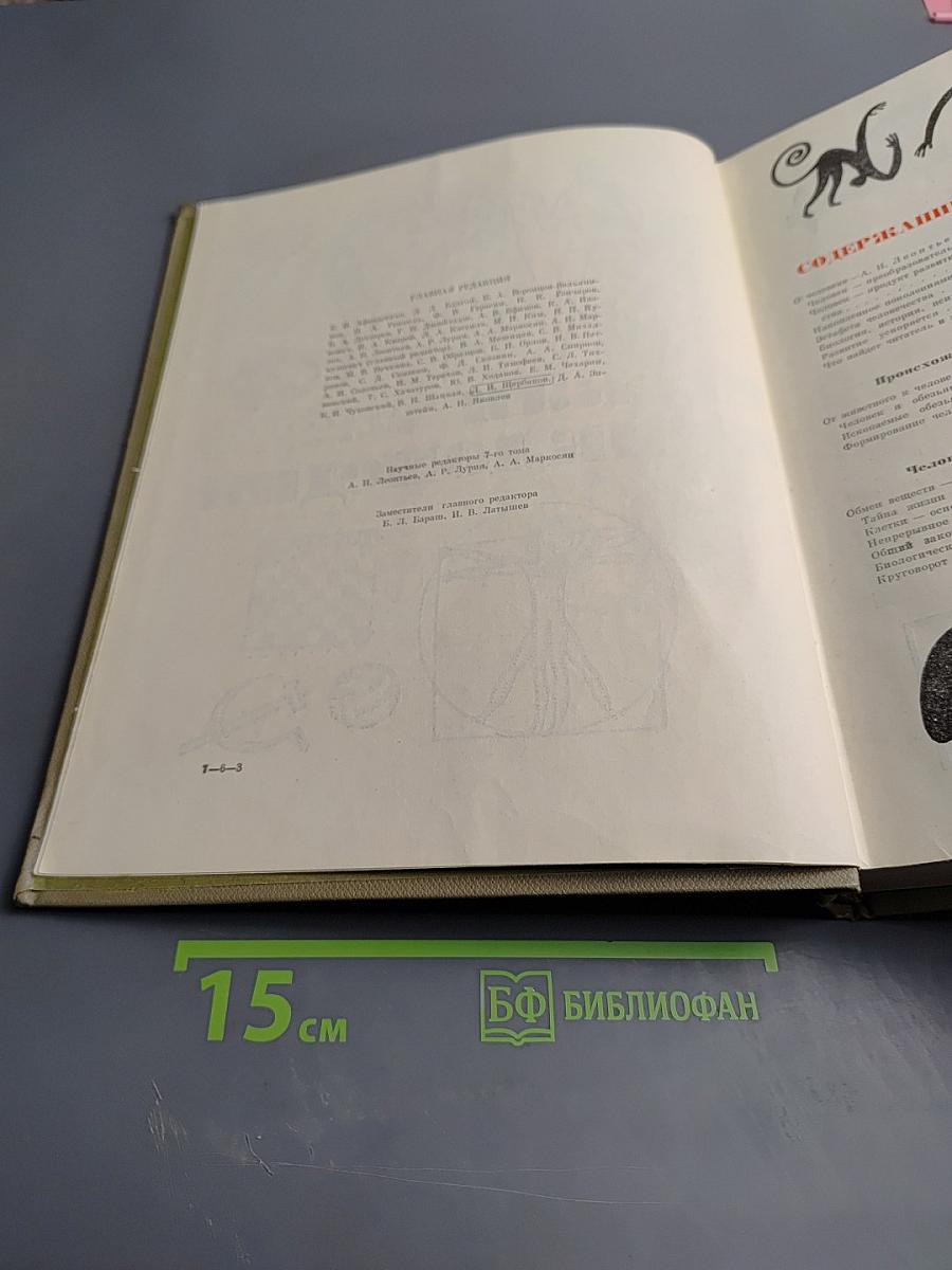 Детская энциклопедия. Том 7: Человек