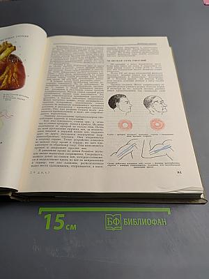 Детская энциклопедия. Том 7: Человек