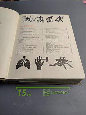 Детская энциклопедия. Том 7: Человек