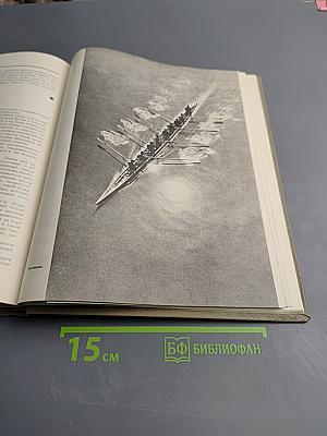 Детская энциклопедия. Том 7: Человек