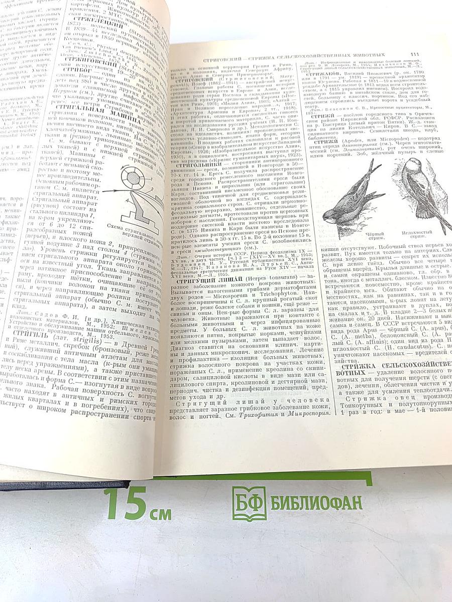 Большая Советская Энциклопедия. Том 41: Стилтон — Тарту