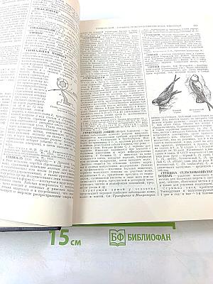 Большая Советская Энциклопедия. Том 41: Стилтон — Тарту