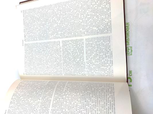 Советская историческая энциклопедия. Том 15: Феллахи - Чжа-Лайяор