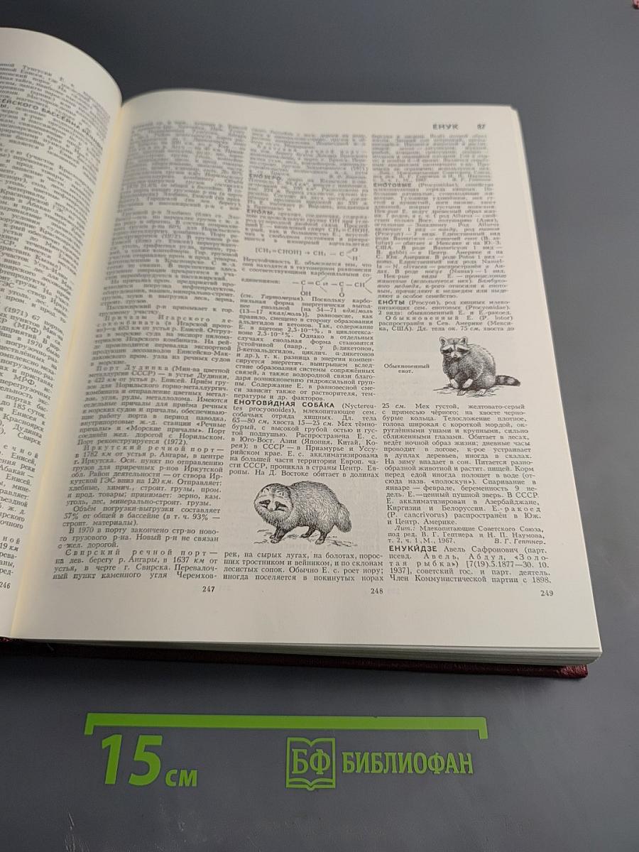 Большая Советская Энциклопедия. Том 9. Евклид - Ибсен