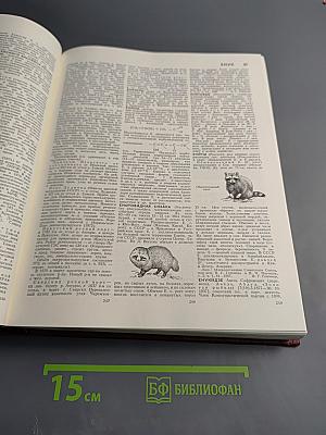 Большая Советская Энциклопедия. Том 9. Евклид - Ибсен