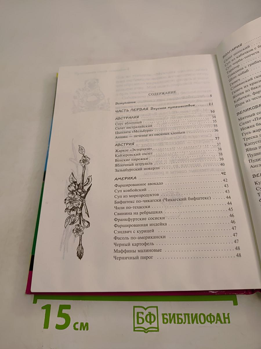 Кулинарная книга лентяйки-2: Вкусное путешествие