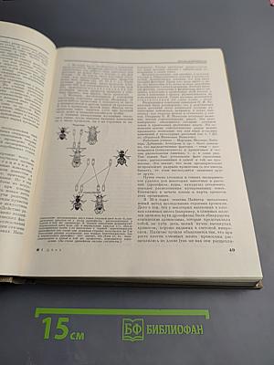 Детская энциклопедия. Том 4