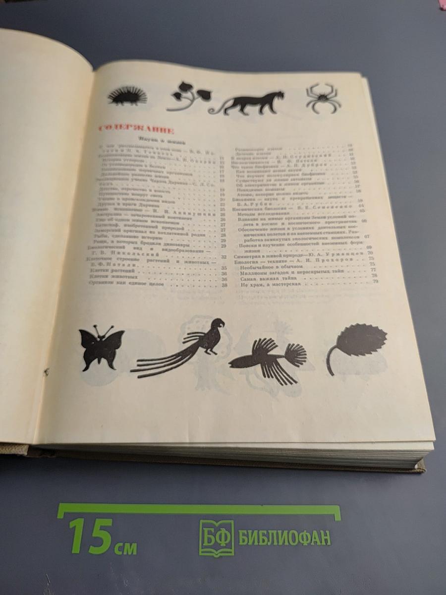 Детская энциклопедия. Том 4