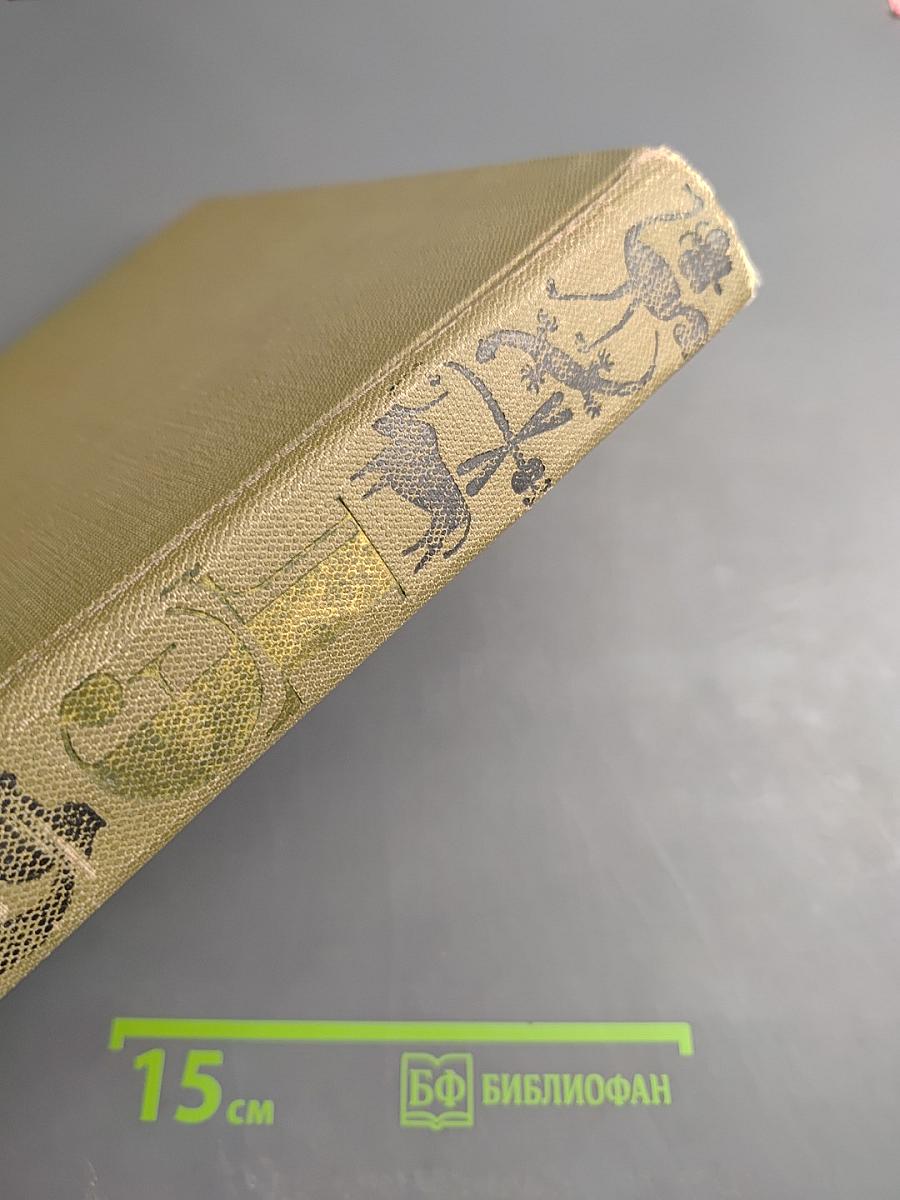 Детская энциклопедия. Том 4