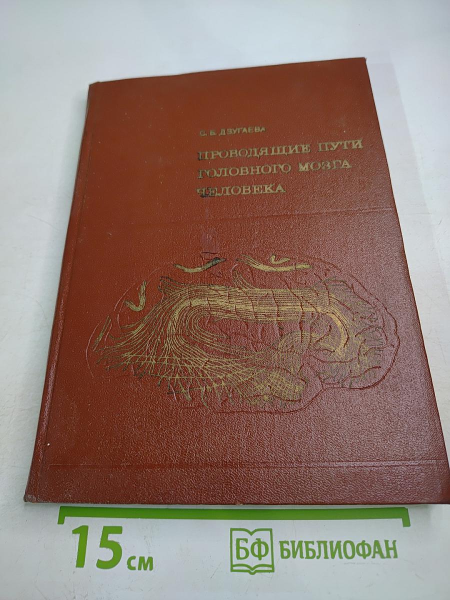 Проводящие пути головного мозга человека (В онтогенезе)