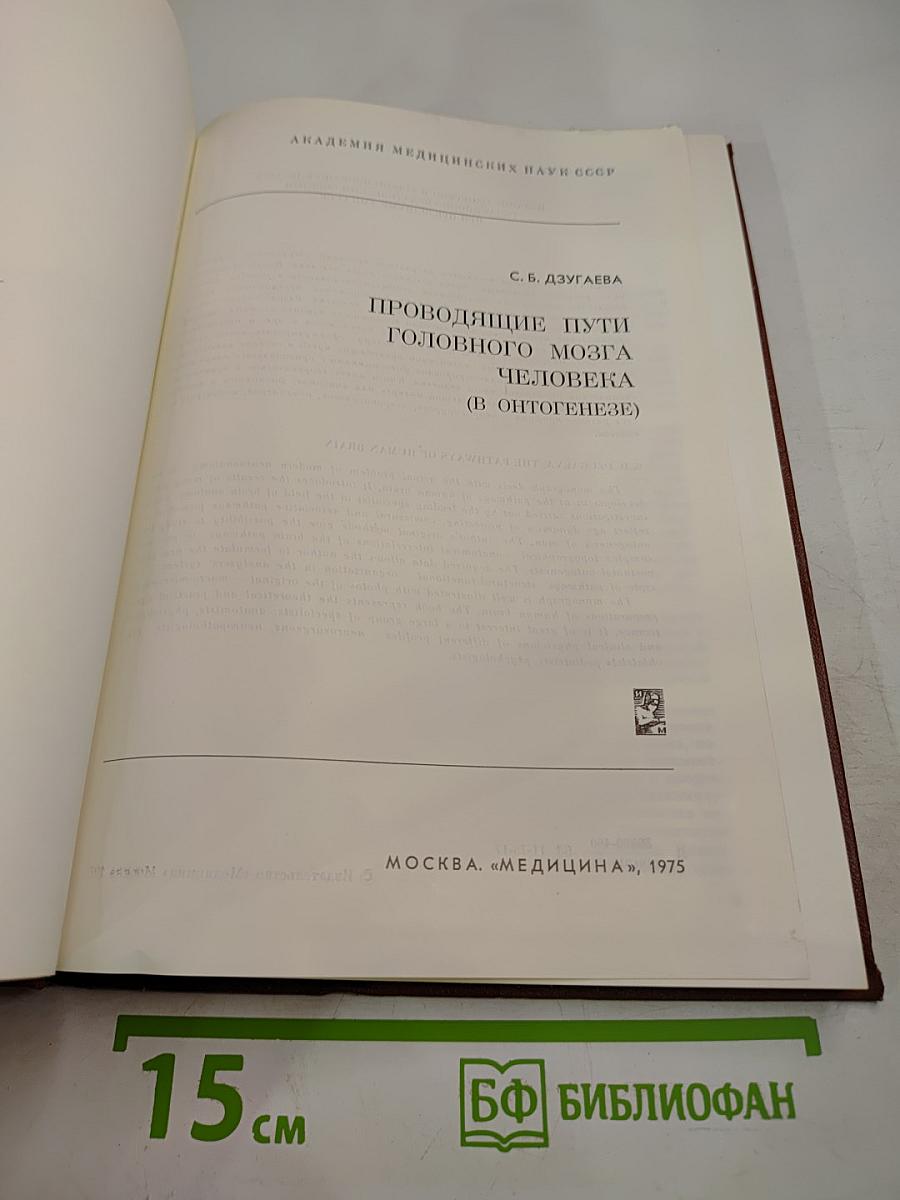 Проводящие пути головного мозга человека (В онтогенезе)
