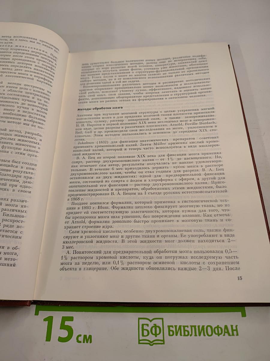 Проводящие пути головного мозга человека (В онтогенезе)