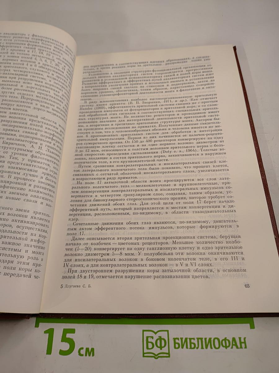 Проводящие пути головного мозга человека (В онтогенезе)