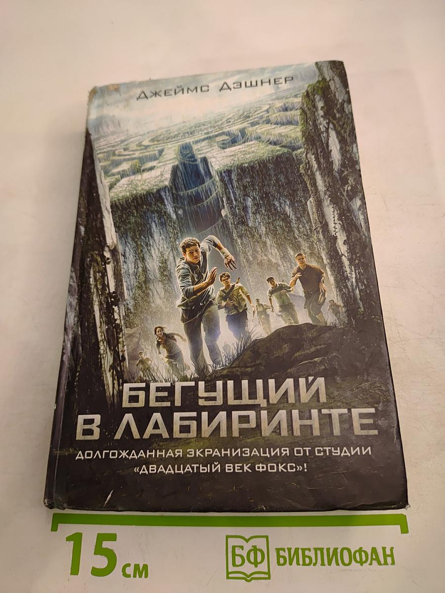 Бегущий в лабиринте