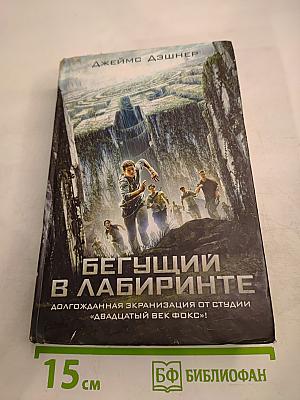 Бегущий в лабиринте