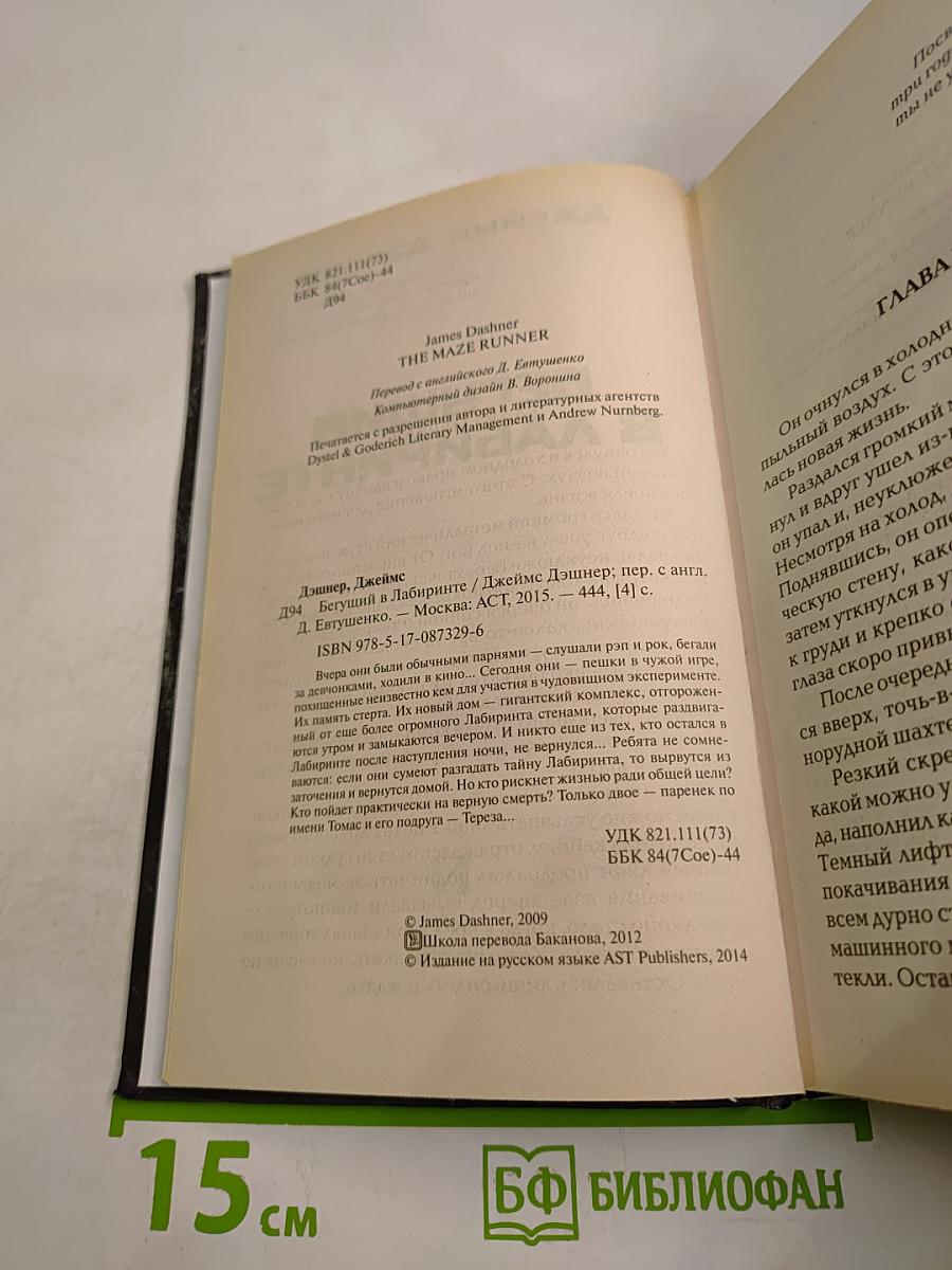 Бегущий в лабиринте