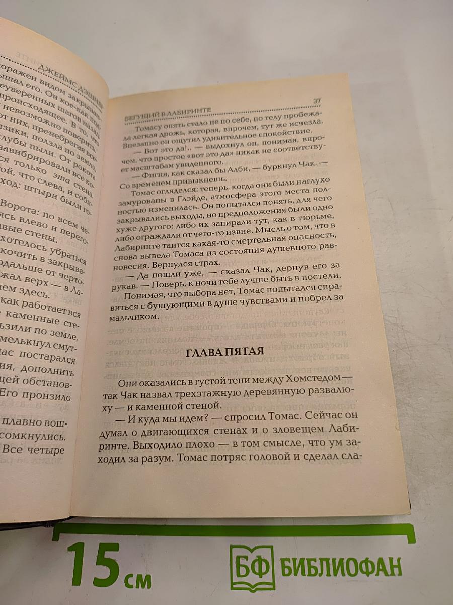 Бегущий в лабиринте