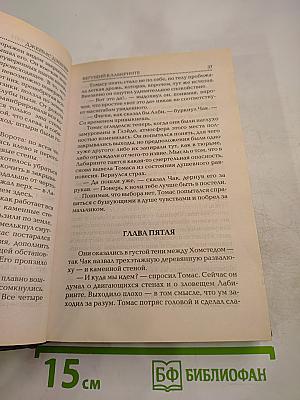 Бегущий в лабиринте