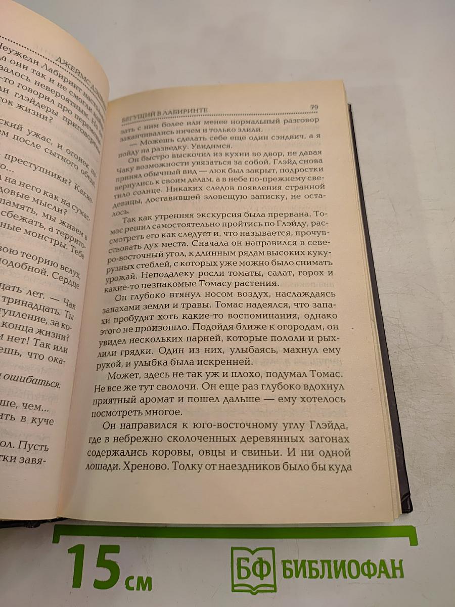 Бегущий в лабиринте