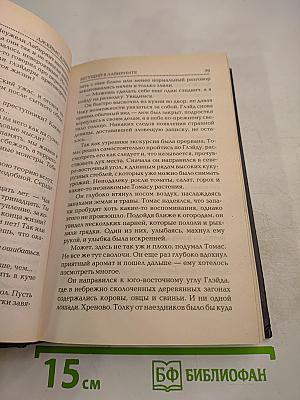 Бегущий в лабиринте