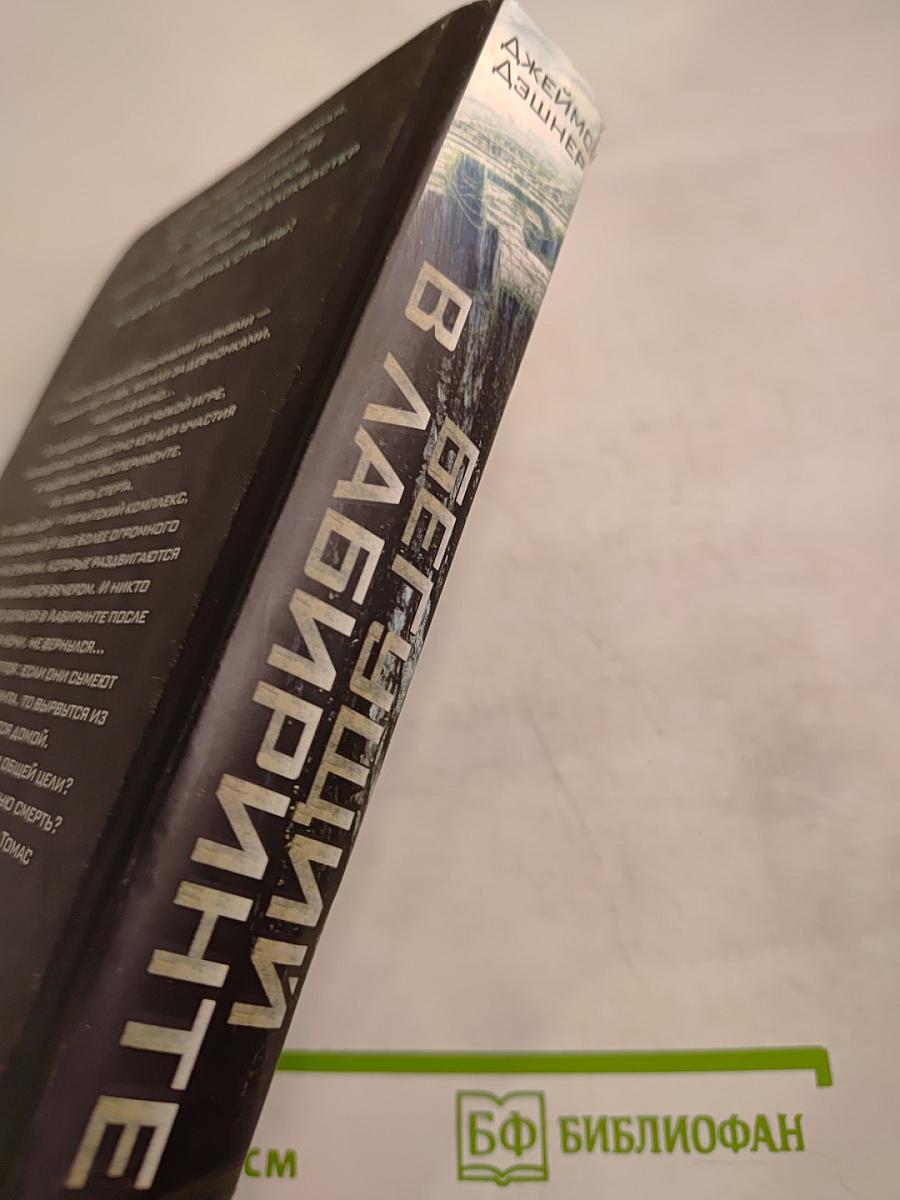 Бегущий в лабиринте