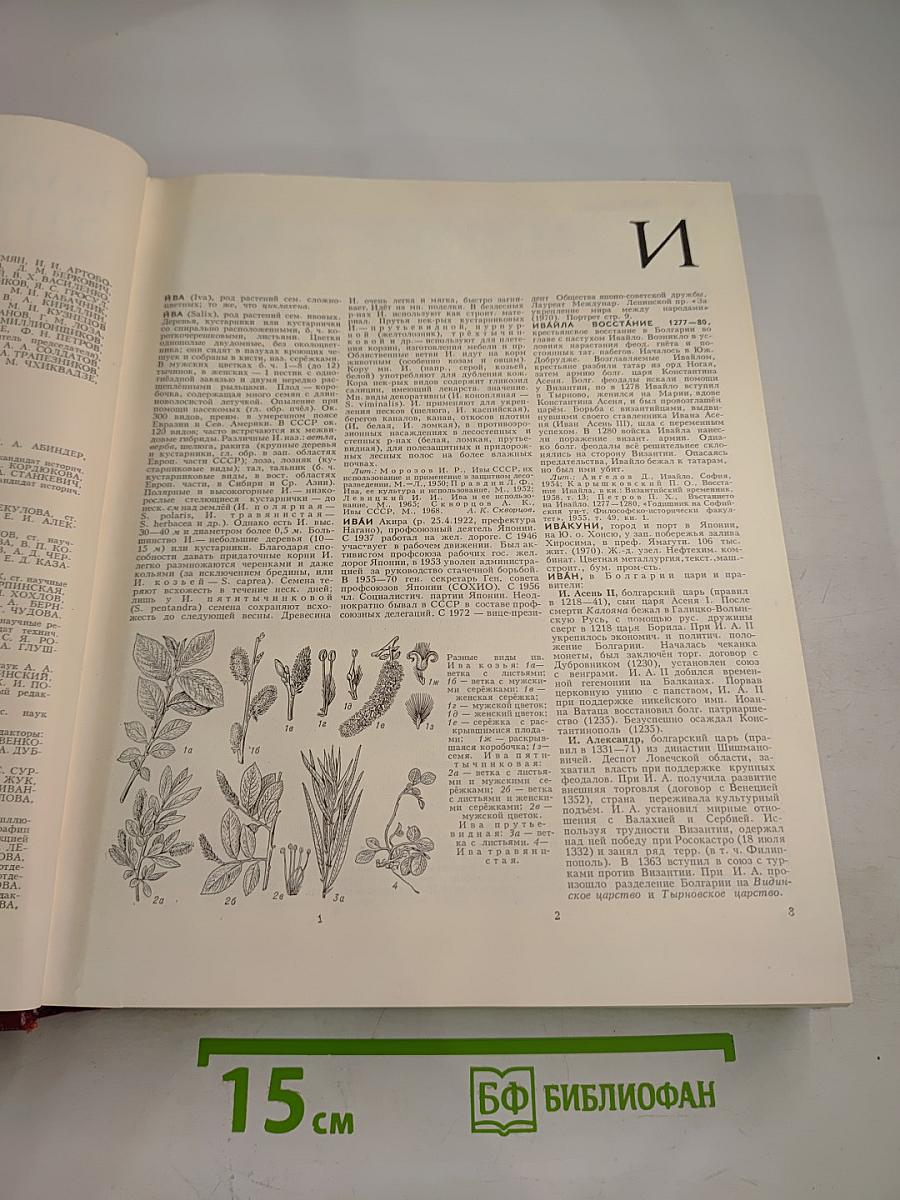 Большая Советская Энциклопедия. Том 10: Ива — Италики