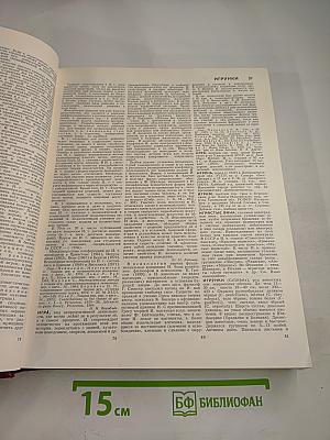 Большая Советская Энциклопедия. Том 10: Ива — Италики