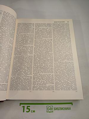 Большая Советская Энциклопедия. Том 10: Ива — Италики